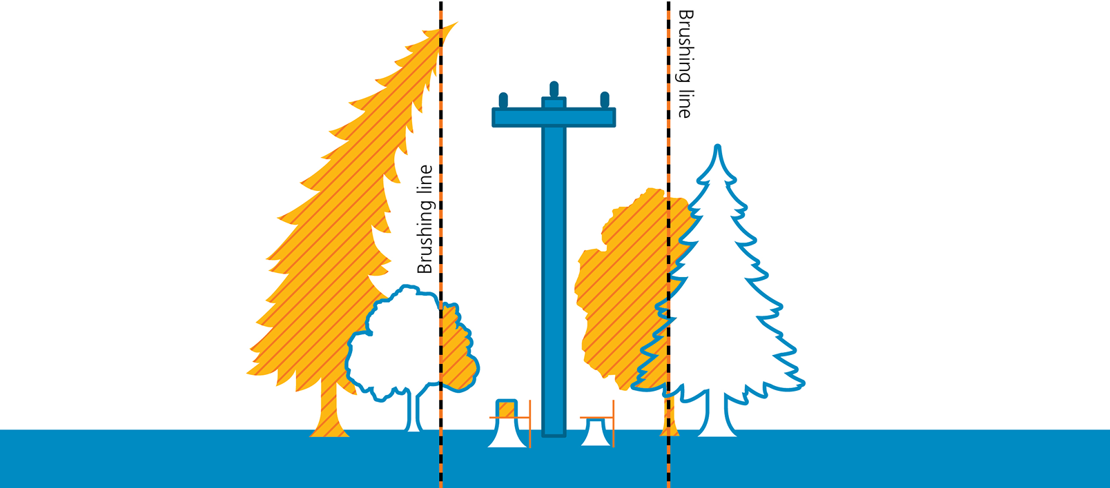 Brushing Trees Power lines